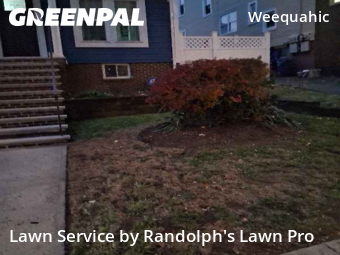 Yard Care Services in Newark, 7112, Lawn Work by Randolph's Lawn Pro, work completed in Nov , 2025