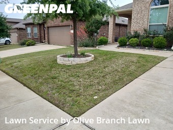 Grass Cutin Roanoke,76262,Lawn Cut by Olive Branch Lawn, work completed in Jun , 2026