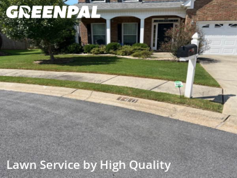 Lawn Care in Peachtree City, 30269, Yard Care Services by High Quality , work completed in Dec , 2025