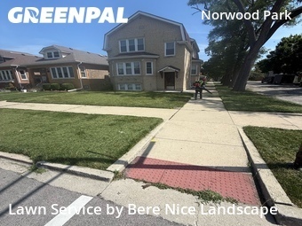 Lawn Cut nearby Chicago, IL, 