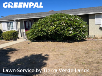 Work completed by affordable-landscaping-maintenance-services-in-Torrance-CA