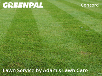 Grass Cutting nearby St. Louis, MO, 