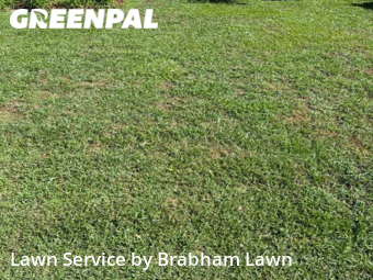 Lawn Cutting nearby Baton Rouge, LA, 