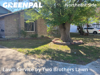 Lawn Cutting nearby San Antonio, TX, 