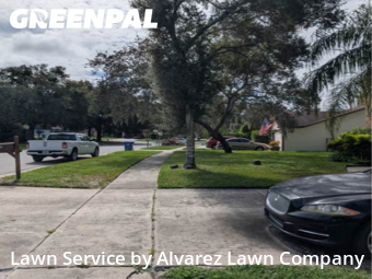 Grass Cuttingin Pine Hills,32818,Yard Mowing by Alvarez Lawn Company, work completed in Feb , 2026