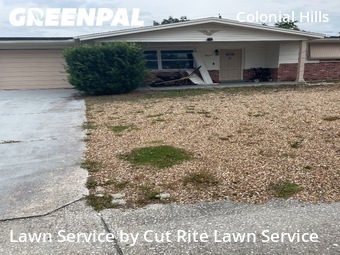 Grass Cut nearby Port Richey, FL, 