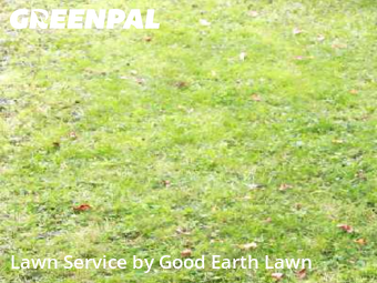Lawn Care Service nearby Hillsborough, NC, 