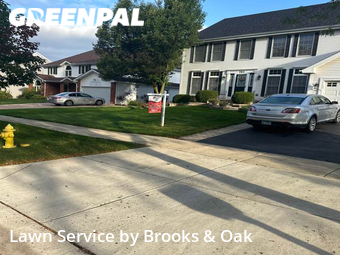 Lawn Mowing Service nearby Carol Stream, IL, 