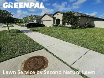 Grass Cut nearby Riverview, FL, 