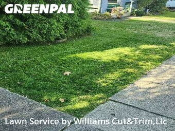 Lawn Cut nearby Swissvale, PA, 