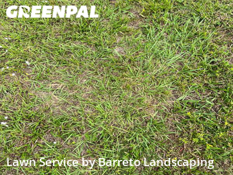 Yard Cutting nearby Cape Coral, FL, 