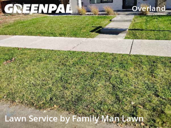 Yard Cutting nearby Denver, CO, 