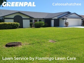 Lawn Mow nearby Cape Coral, FL, 