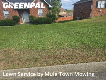 Grass Cutting nearby Smyrna, TN, 