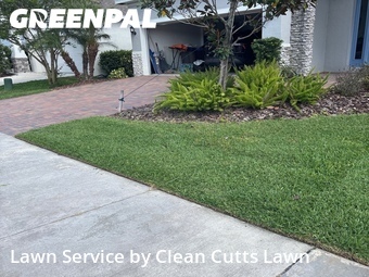 Lawn Cut nearby Apollo Beach, FL, 