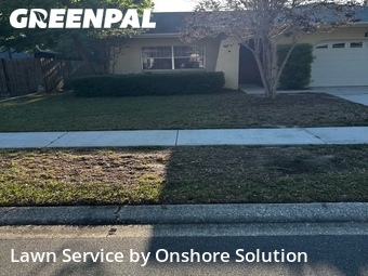 Lawn Mow nearby Palm Harbor, FL, 
