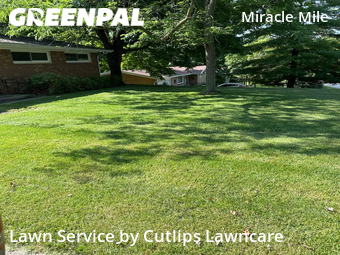 Grass Cut nearby Springfield, OH, 