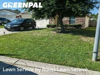 Lawn Mow nearby Spring, TX, 