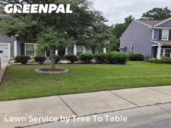 Grass Cut nearby Charleston, SC, 