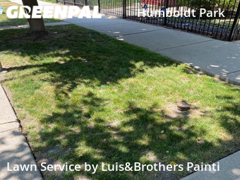 Lawn Care nearby Chicago, IL, 