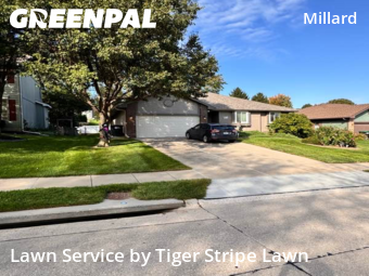 Yard Mowing nearby Omaha, NE, 