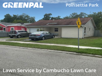 Grass Cutting nearby Sarasota, FL, 