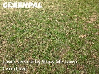 Lawn Mowing Service nearby Alton, MO, 