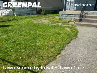 Grass Cutting nearby Indianapolis, IN, 