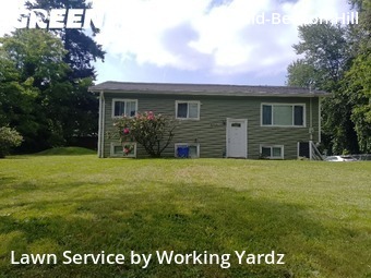 Lawn mowed in Seattle, 98108