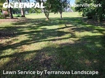 Lawn Mowingin Naperville,60540,Grass Cutting by Terranova Landscape, work completed in Nov , 2025