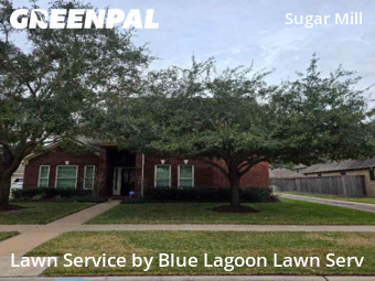 Lawn Mowingin Sugar Land,77498,Lawn Mow by Blue Lagoon Lawn Serv, work completed in Jan , 2026