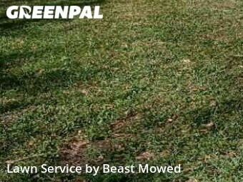 Grass Cut nearby Saint Petersburg, FL, 