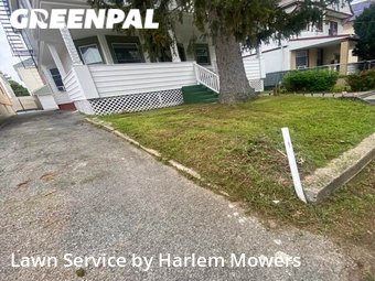 Grass Cutting nearby Mount Vernon, NY, 