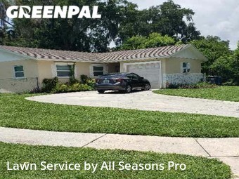 Lawn Mowing nearby Brandon, FL, 