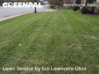 Lawn Mowing in Westerville, 43081, Yard Cutting by Eco Lawncare Ohio, work completed in Dec , 2025