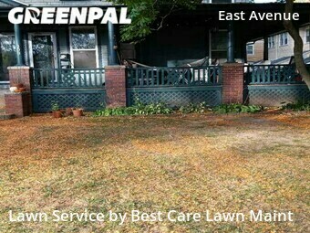 Grass Cut nearby Rochester, NY, 