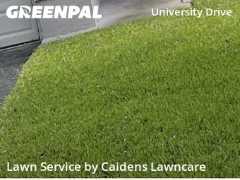 Yard Cutting nearby Coral Springs, FL, 