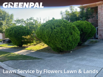 Grass Cut nearby Justin, TX, 