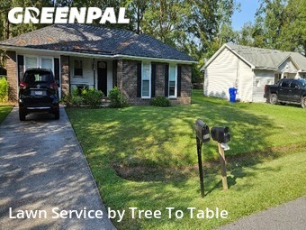 Grass Cutting nearby Ladson, SC, 