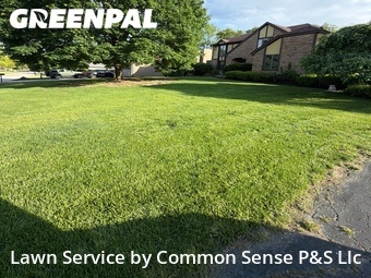 Lawn Mow nearby Dayton, OH, 