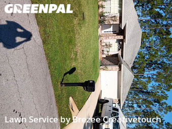 Grass Cut nearby Palm Coast, FL, 