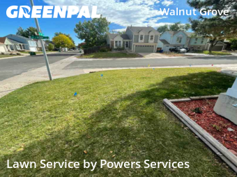 Work completed by yard-maintenance-professionals-in-Westminster-CA