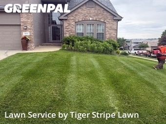 Lawn Mow nearby Omaha, NE, 
