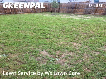 Lawn Cuttingin Converse,78109,Grass Cut by Ws Lawn Care, work completed in Jun , 2026