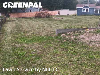 Grass Cutting nearby Gowen, MI, 