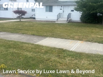 Lawn Cut nearby Maple Heights, OH, 