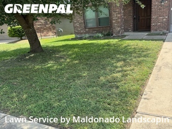 Grass Cut nearby Katy, TX, 