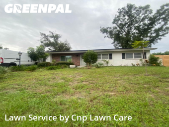 Yard Maintenance in Temple Terrace, 33617, Backyard Mowing by Cnp Lawn Care, work completed in Nov , 2025