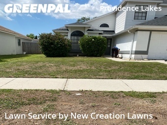 Grass Cut nearby Brandon, FL, 