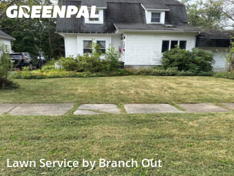 Lawn Service nearby Hamburg, NY, 